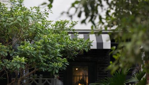 被愛咖啡小旅館 Birdeye Garden
