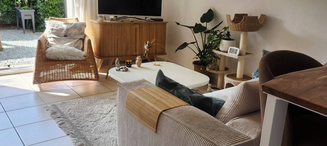 Cosy apartment