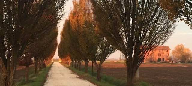 Country house Il Giuggiolo, relaxation in the Motor Valley