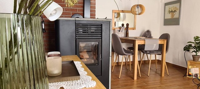 Holiday home Ole Leev mit Reet