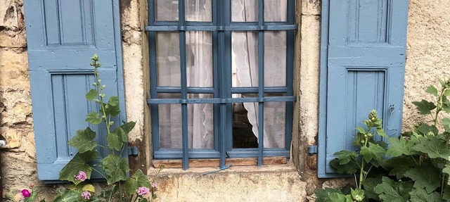 House Les volets bleus