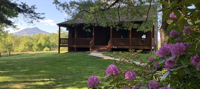 Julie’s Cabin, Private & Secluded, Peaceful Paradise with views, Dogs OK