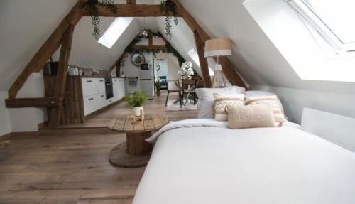 LE RELAIS DES CALECHES - l'Appartement "L'aparté"