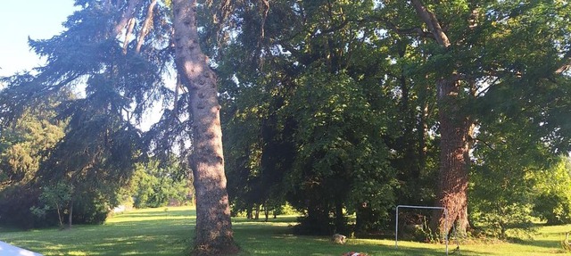 Les Roches Blanches Emplacements tente, caravane, camping-car