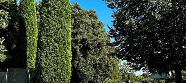 Peaceful Asolo Villa: Huge Garden & Walk to Town