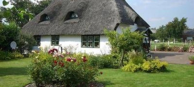 Reetdachhaus Petra by Interhome